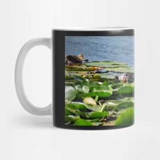 Nutria biting leaf Mug